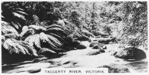 Taggerty River, Victoria, Australien