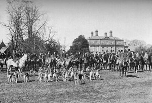Die Albrighton-Hunde: Ein Treffen in Stretton, ca. 1903, 1903