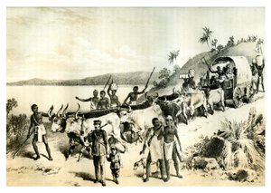 Die Ankunft am Lake Ngami, 1883