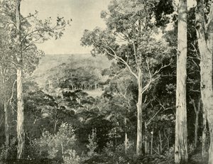 Die Blauen Berge, 1901