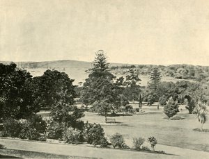 Die Botanischen Gärten von Sydney, 1901