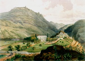 The Briars, St. Helena, frühes 19. Jahrhundert, 1851 von Unbekannt