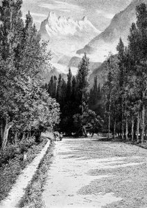 Die Dent du Midi vom Rhonetal aus, 1900 von Unbekannt