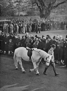 Der leere Sattel: König Georgs weißes Pony, Jock, wird in der Prozession geführt, 1936