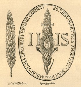 Das Gesicht im Stroh - Aus Abbots Anthologia