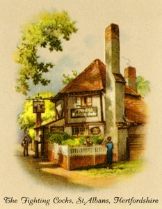 Die kämpfenden Hähne, St. Albans, Hertfordshire, 1936