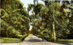 Der Blumenweg, Kensington Gardens, London, 20. Jahrhundert
