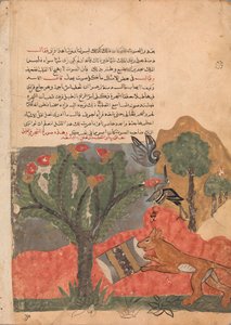 Der Fuchs und die Trommel, Folio aus einem Kalila wa Dimna, 18. Jahrhundert
