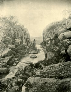 Die Schlucht, Buffalo Falls, Viktorianische Alpen, 1901 von Unbekannt