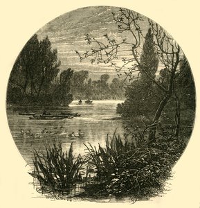 Der See, Battersea Park, ca. 1878