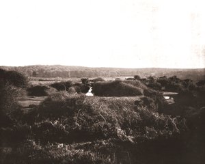 Der New Forest, Hampshire, 1894