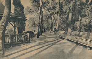 Der Kiefernweg, 1929