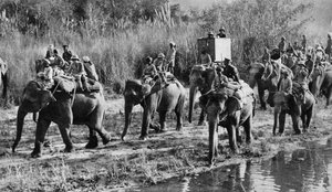 Der Prinz von Wales auf Tigerjagd in Indien, 1921