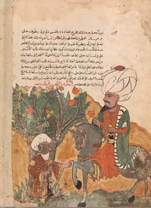 Der Vater des Schurken taucht aus dem Baum auf, Folio aus einem Kalila wa Dimna