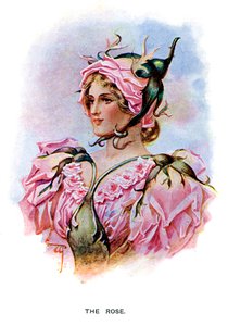 Die Rose, 1899