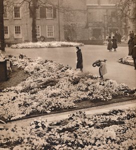 Das Staatsbegräbnis von König George V. in Windsor: Gedenkkränze, 1936 von Unbekannt