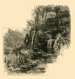 Die Tropischen Gärten, Battersea Park, ca. 1878 von Unbekannt