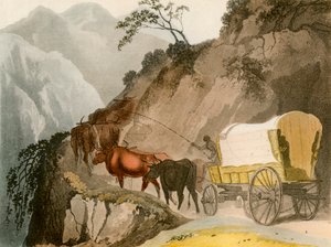 Der Weg des Voortrekker von Unbekannt