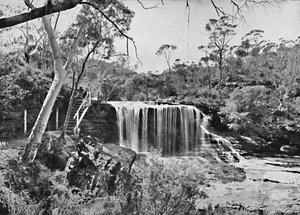 Der Weeping Rock bei Wentworth Falls, Blue Mountains, ca. 1900 von Unbekannt