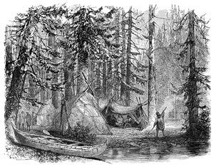 Der Wald vor dem Auswanderer, 1900 von Unbekannt