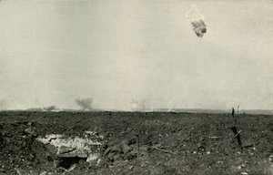 Der Wollbär, 1919 von Unbekannt