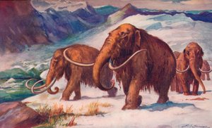 Die frühe Eiszeit, als Mammuts die Erde bevölkerten und der Mensch entstand, 1907
