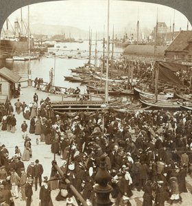 Der Hafen, N.W. vom Marktplatz in Bergen, dem größten Fischmarkt Norwegens, ca. 1905 von Unbekannt