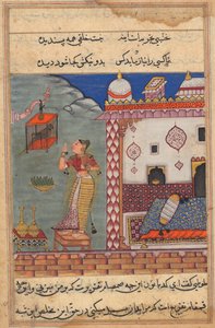 Der Papagei spricht Khujasta zu Beginn der siebenundzwanzigsten Nacht an, recto von folio 185, um 15. Jahrhundert von Unbekannt