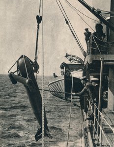 Der hai-förmige Paravan, 1943