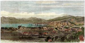 Die Stadt und der Hafen von Wellington, Hauptstadt von Neuseeland von Unbekannt
