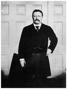 Theodore Roosevelt, 26. Präsident der Vereinigten Staaten
