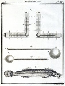 Thermometer von Unbekannt