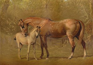 Vollblutstute und Fohlen, ca. 1879 von Unbekannt