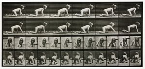 Zeitrafferfotografien eines krabbelnden Kindes