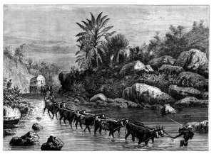 Reisen in Griqualand, Südafrika, ca. 1890
