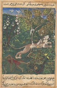 Tuti-Nama (Geschichten eines Papageis), Geschichte XXIX