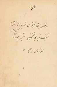 Tuti-Nama Geschichten eines Papageis, ca. 1560 von Unbekannt