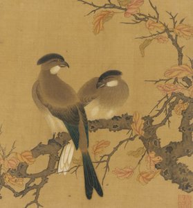 Zwei Haubenvögel auf einem Ast, Herbstblätter, Qing-Dynastie, 18. Jahrhundert von Unbekannt