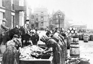 Vereinigtes Königreich: Schottische Heringsputzer bei der Arbeit in Scarborough, ca. 1890