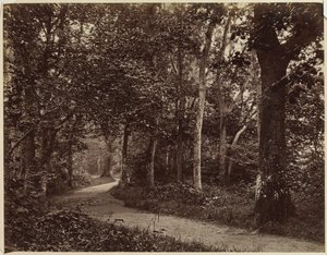 Ohne Titel Landschaft, frühe 1860er Jahre von Unbekannt