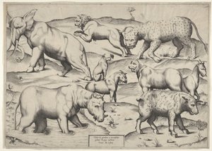 Verschiedene Tiere