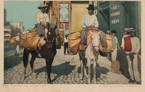 Gemüsemänner, Havanna, Kuba, 1904