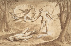 Venus entdeckt den Tod des Adonis, 17. Jahrhundert von Unbekannt
