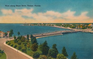 Blick entlang Shore Drive, Tampa, Florida