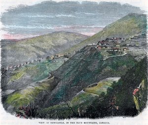 Blick auf Newcastle, in den Blue Mountains, Jamaika, ca. 1880