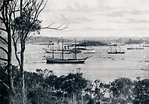 Blick auf den Hafen von Sydney von North Shore, Nr. 1, ca. 1900 von Unbekannt