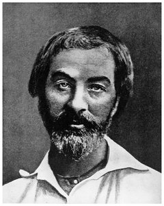 Walt Whitman, amerikanischer Dichter, 19. Jahrhundert
