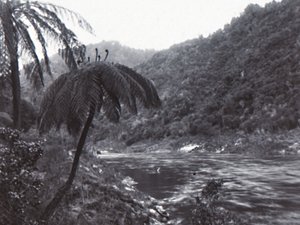 Wanganui-Fluss, spätes 19. - frühes 20. Jahrhundert von Unbekannt