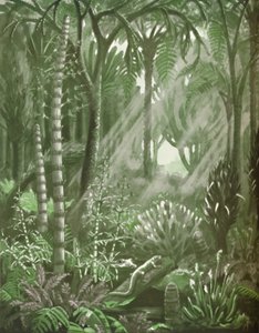 Wie die mächtigen Kohlewälder aussahen, 1935 von Unbekannt