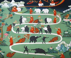 Weißer Elefantenschwanz im Kopan-Kloster, Kathmandu, Nepal